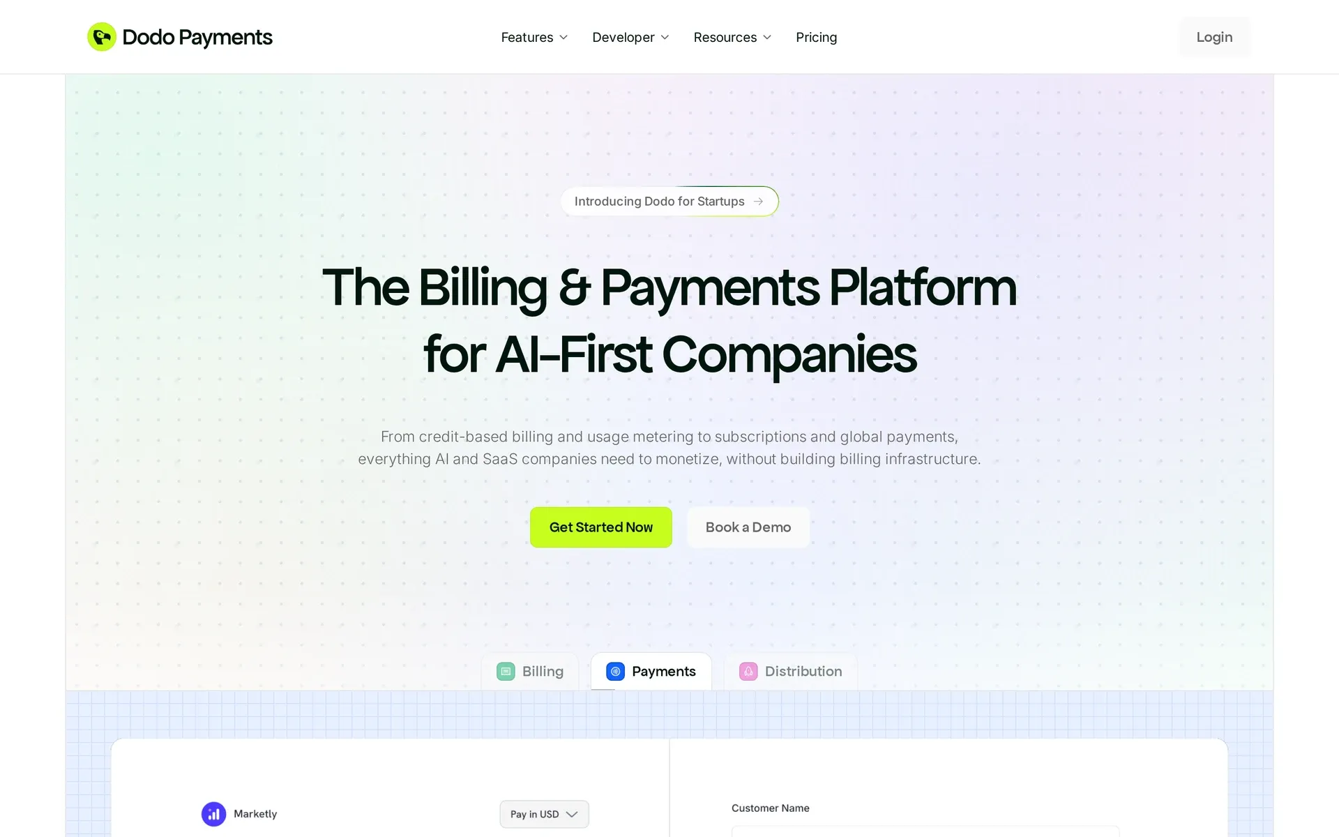 Dodo Payments homepage: billing and payments platform for AI-first companies, with Get Started Now and Book a Demo buttons